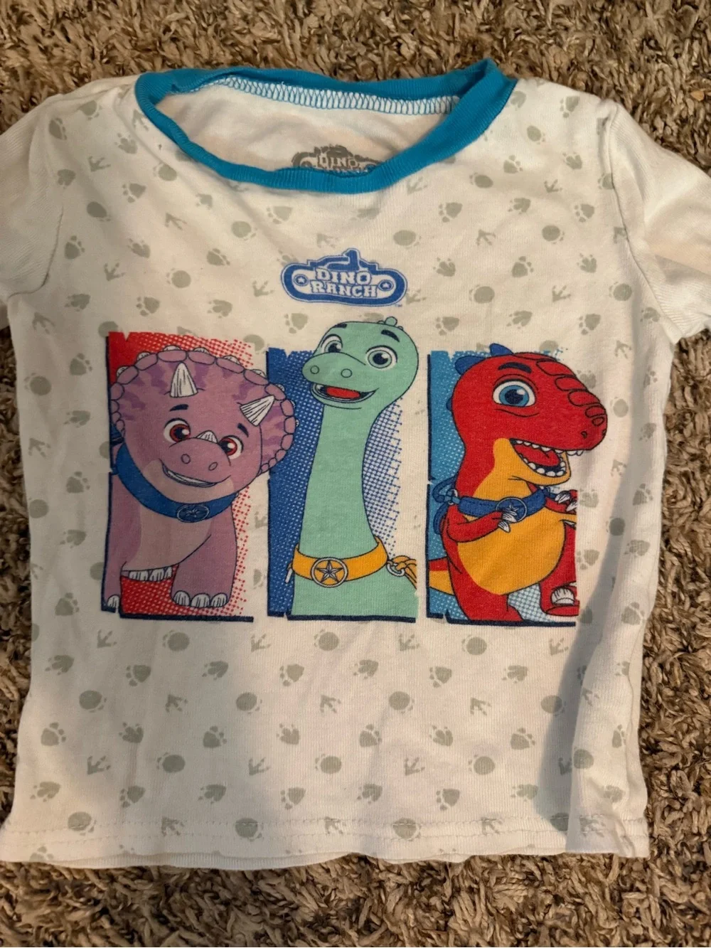 4T Dino Ranch Unisex Pajama Set